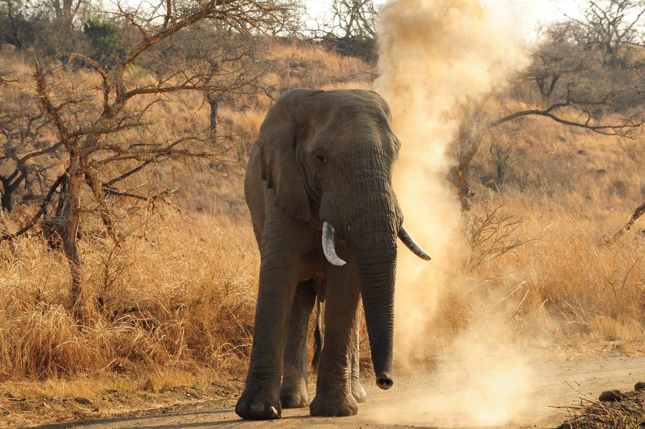 Esiweni Luxury Safari Lodge Ladysmith Esterno foto